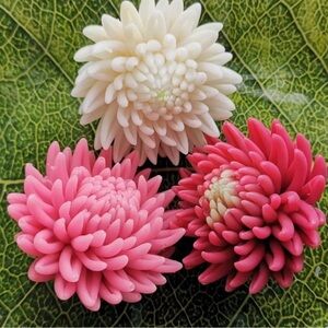 3D Astra Silicone mold